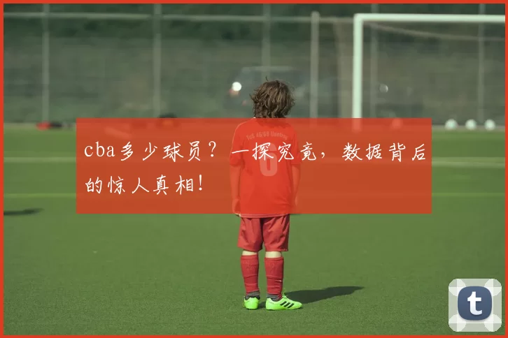 cba多少球员?一探究竟,数据背后的惊人真相!